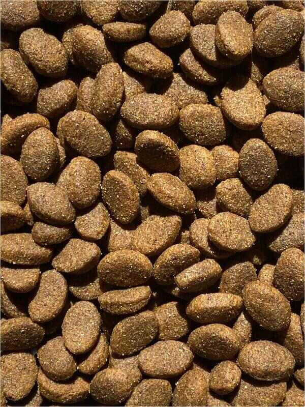 Alimento de perro Adulto regular a granel Josera (kilo)